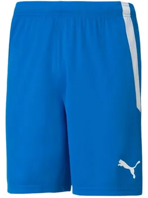 Produktbild von Puma - "TeamLIGA" Shorts für Herren PP5066 (S) (Blau)