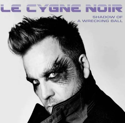 Produktbild von Le Cygne Noir - Shadow Of A Wrecking Ball (Violet Coloured) (LP)
