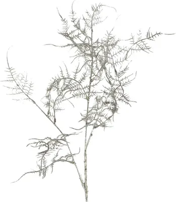 Image de Branche de fougère artificielle, plante décorative en plastique argenté, 1 pièce, 63 cm