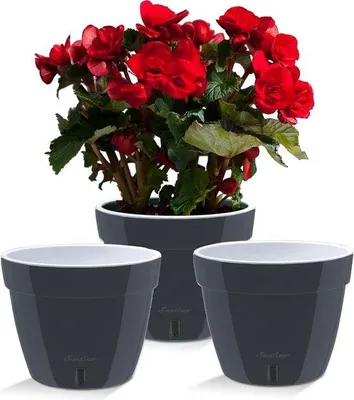 Produktbild von Famanu Selbstbewässernde Pflanzenbox - Wasserfest - Modernes Design