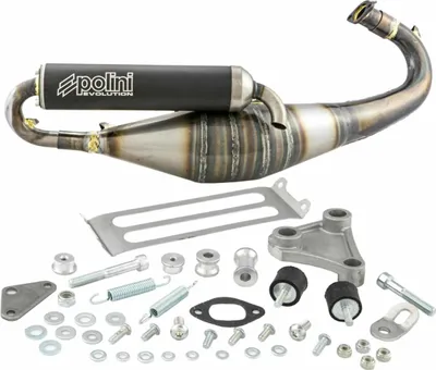 Immagine prodotto di Marmitta POLINI Evolution 11 per Piaggio Zip SP