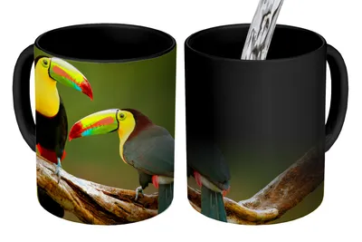 Produktbild von KitchenYeah® Zauber Tasse Zaubertasse Magic Vögel - Tukan - Zweig - Tiere - Regenbogen 350 ml Farbwechsel Becher Geschenk Geschenkidee - Magic-Tasse - Fototasse - Keramiktassen - Bilder - Tasse Kaffee