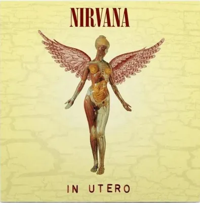 Obrázok produktu pre Nirvana - In Utero (180 g) (LP)