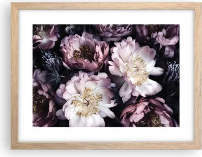 Produktbild von Gerahmtes Poster - Rahmen in heller Eiche - Pfingstrosen Veilchen Blumen - 40x30 cm - Wand Bild - Wanddeko - Wandbilder - Kunstposter - Wandposter - Bilderrahmen - Bilder - P2NAA40x30-5076