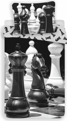 Produktbild von Leinen-Fotodruck Chess 140x200, 70x90 cm