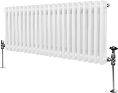 Zdjęcie produktu dla Tradycyjny grzejnik 2-kolumnowy - 300 x 1012 mm - Biały