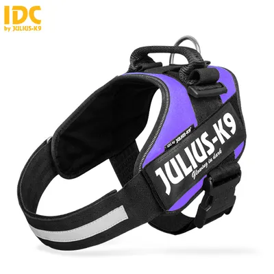 Produktbild von Julius-K9 IDC Powergeschirr lila, Größe: XL/2