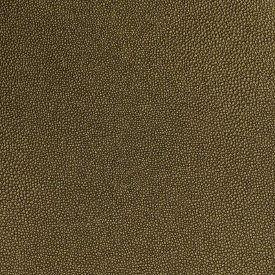Produktbild von Harald Glööckler Tapeten Gold Schwarz Uni 52562 Design