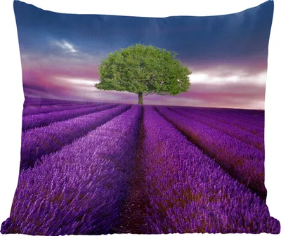 Produktbild von MuchoWow® Zierkissen Sofakissen Wohnzimmer Dekokissen 40x40 cm Lavendel - Baum - Lila - Foto Kissen - Schlafzimmer Dekoration