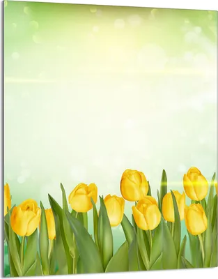 Image de Plaque de recouvrement pour cuisinière 40x52 Vitrocéramiquefeld Couverture anti-éclaboussures Plaque de verre Deko Planche à découper, Tulipes Jaune