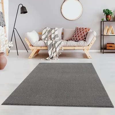 Produktbild von Teppich Wohnzimmer Einfarbig, Uni Teppich fürs Arbeitszimmer, Büro, Flur und Küche - Kurzflor Teppich Größe: 120 x 170 cm, Hellgrau