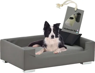 Produktbild von Rohrschneider Hundesofa Hundecouch abwaschbar mit Gassibeutel, Farbe:grau