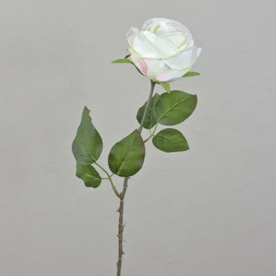 Produktbild von artplants.de Kunstrose FINAKAS, Creme-weiß, 65cm - Künstliche Rosenblüte