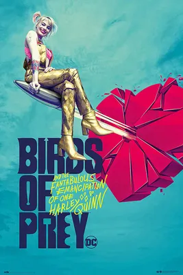 Produktbild von Poster Birds of Prey Broken Heart 61x91.5cm