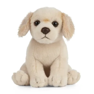 Image de Living Nature Doudou Golden Retriever chiot en peluche