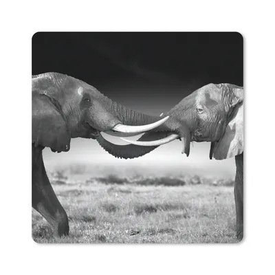 Produktbild von MuchoWow® Mauspad Mousepad Elefant - Tiere - Schwarz und weiß - Porträt - Landschaft 20x20 cm - Mousepads - Maus Mat - Pad - Mausunterlage - Desk Mat - Bureauartikeln