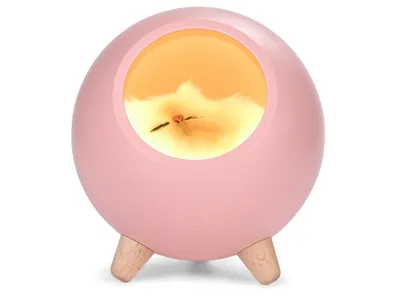 Zdjęcie produktu dla TechKidz, lampka nocna model Sleepy Cat, różowa