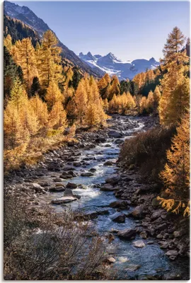 Produktbild von ARTland Leinwandbild Herbst im Oberengadin Größe: 60x90 cm