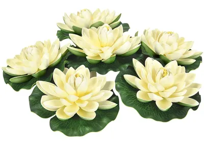 Produktbild von 6 Stück Künstliche Seerosen Schwimmende Blumen Schwimmend Lotusblüte Teichrosen Lotus Seerose für Aquarium Brunnen Fischteich Gartenteich Dekoration