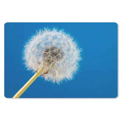 Produktbild von MuchoWow® Schreibtischunterlage Löwenzahn - Blume - Terrasse 60x40 cm - XXL Mauspad - Großes Mauspad