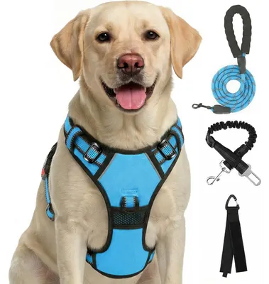 Produktbild von Zugfreies Hundegeschirr Reflektierend Blau Größe S mit Zubehör