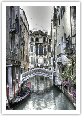 Produktbild von Poster - Poster ohne Rahmen - Venedig Brücke Wasser - 70x100 cm - Wand Bild - Wanddeko - Wandbilder - Kunstposter - Wandposter - Bilder - Kunstdruck - Wanddekoration - Wandbild - P2XPA70x100-3522