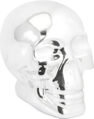 Produktbild von Lesser & Pavey Sparbüchse Spardose "Totenschädel" in einer Geschenkbox - 10 x 9 cm