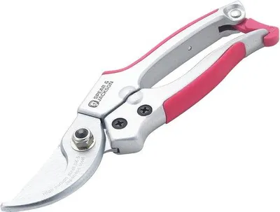 Image de Sécateur ergonomique pour le jardinage - Idéal pour les branches et les tiges jusqu'à 15 mm