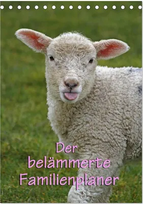 Produktbild von Der belämmerte Familienplaner (Tischkalender 2025 DIN A5 hoch), CALVENDO Monatskalender