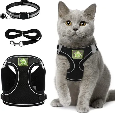 Image de Harnais réglable pour chat avec laisse - Harnais réfléchissant anti-évasion pour chat - Harnais respirant anti-étranglement Noir XS Harnais pour chat avec laisse
