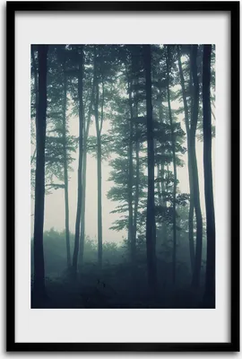 Produktbild von Bild - Bilderrahmen - 40 cm x 60 cm - MDF - Rahmen - Wandkunst - Nebel im Wald