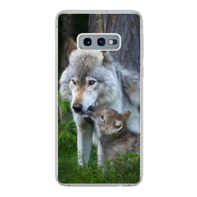 Produktbild von MuchoWow® Handyhülle Schutzhülle Hülle für Samsung Galaxy S10e Wolf - Moos - Wald - Welpe Silikon Softcase Handy Hülle - Handy