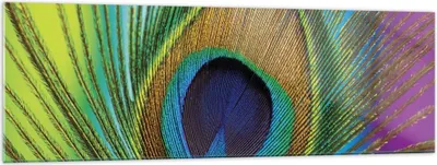Produktbild von Bilder auf glas - Einteilig - Pfauen Federn Regenbogen - 160x50cm - Glasbilder - Wandbilder - Bilder - zum Aufhängen bereit - Wanddekoration aus Glas - Glas Bilder - Wandbild auf Glas - GAB160x50-4385