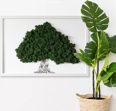 Produktbild von Moosbild mit Konserviertem Moos 3D Wandbild - 60x40 cm - Weißer MDF-Rahmen - Baum mit Wurzeln auf weißem Hintergrund