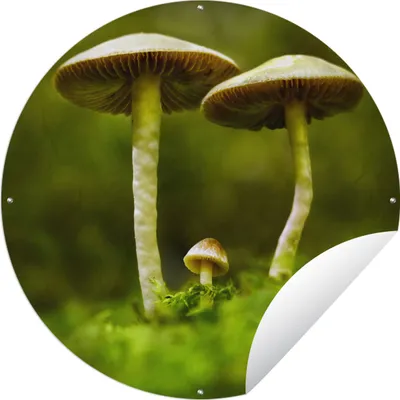 Produktbild von MuchoWow®