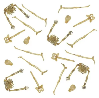 Imagen del producto de 20 miniaturas de huesos esqueléticos para esparcir