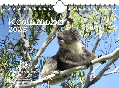 Produktbild von Koalazauber DIN A5 Wandkalender für 2025 Koalabären, Koala - Seelenzauber