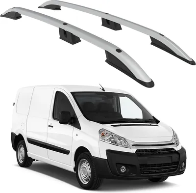 Immagine prodotto di TETTO TURTLE  DEL RUOLO CITROEN JUMPY Mk2 2006 2007 2008 2009 2010 2011 2012 2013 2014 2015 2016 (LWB) , Argento