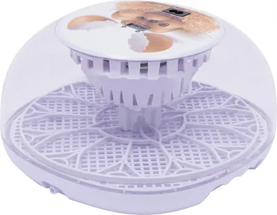Image de 12 œufs Couveuse entièrement automatique avec écran LCD 20-50℃ incubateur numérique Couveuse automatique