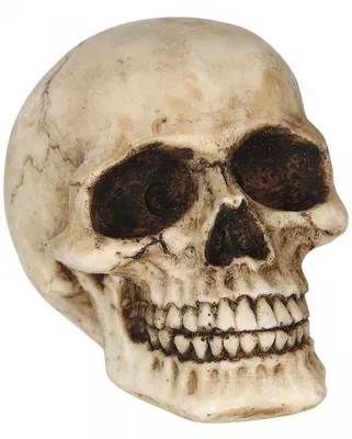 Produktbild von Kleiner Totenkopf als Halloween Deko 8cm