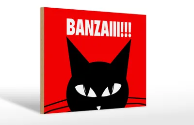Produktbild von Holzschild Spruch 30x20cm Katze Banzaiii