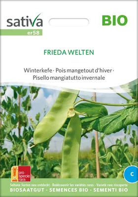 Artikelbild 1 von 'BIO Zuckererbse Frieda Welten' aus der Kategorie Zuckererbsensamen