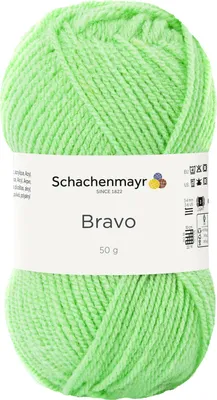 Produktbild von Schachenmayr Bravo, 50g Kiwi Handstrickgarne