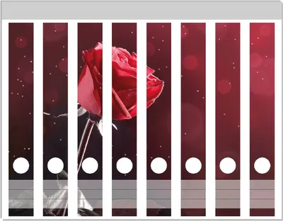 Produktbild von Wallario Ordnerrücken Sticker, selbstklebend für schmale Ordner, 8 Stück, Motiv Rote Rose Single