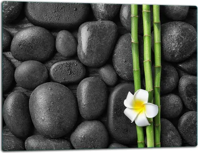 Image de Planche à découper en verre Plaque de recouvrement pour cuisinière Vitrocéramiquefeld Universal 52x40 cm Pierres Bambou