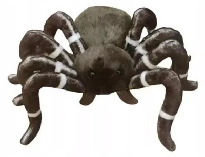 Image de Araignée 25 cm 31938