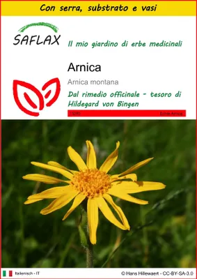 Immagine prodotto di SAFLAX Insieme di coltivazione - Arnica  - 40 semi - Arnica