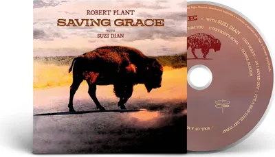 Produktbild von Saving Grace