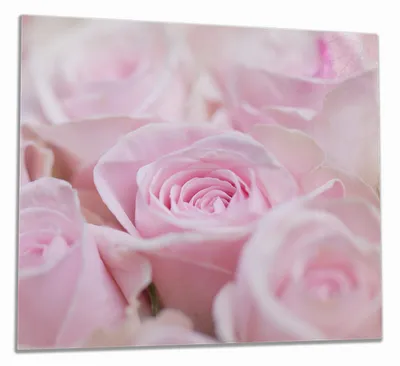 Produktbild von Wallario Herdabdeckplatte aus Glas, Größe 60 x 52 cm 1-teilig, Motiv Rosafarbene Rosenblüten im Strauß