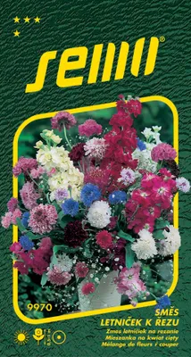 Produktbild von Samen – Verschiedene einjährige schnittblumen